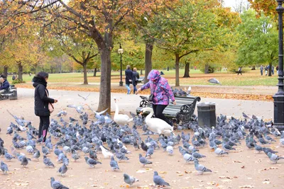 DSC_0629 (Large).JPG